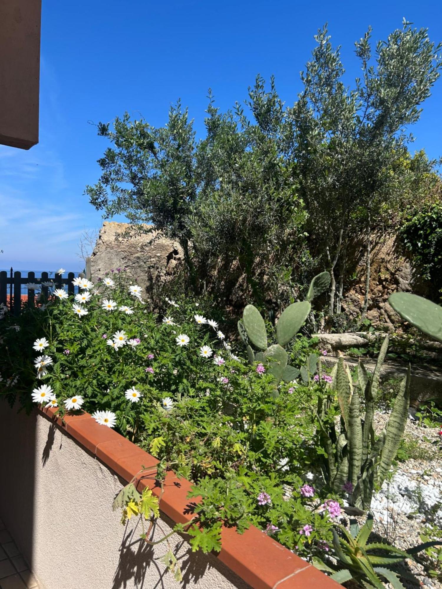 Arcobaleno Tropea Centro Bed & Breakfast Bagian luar foto